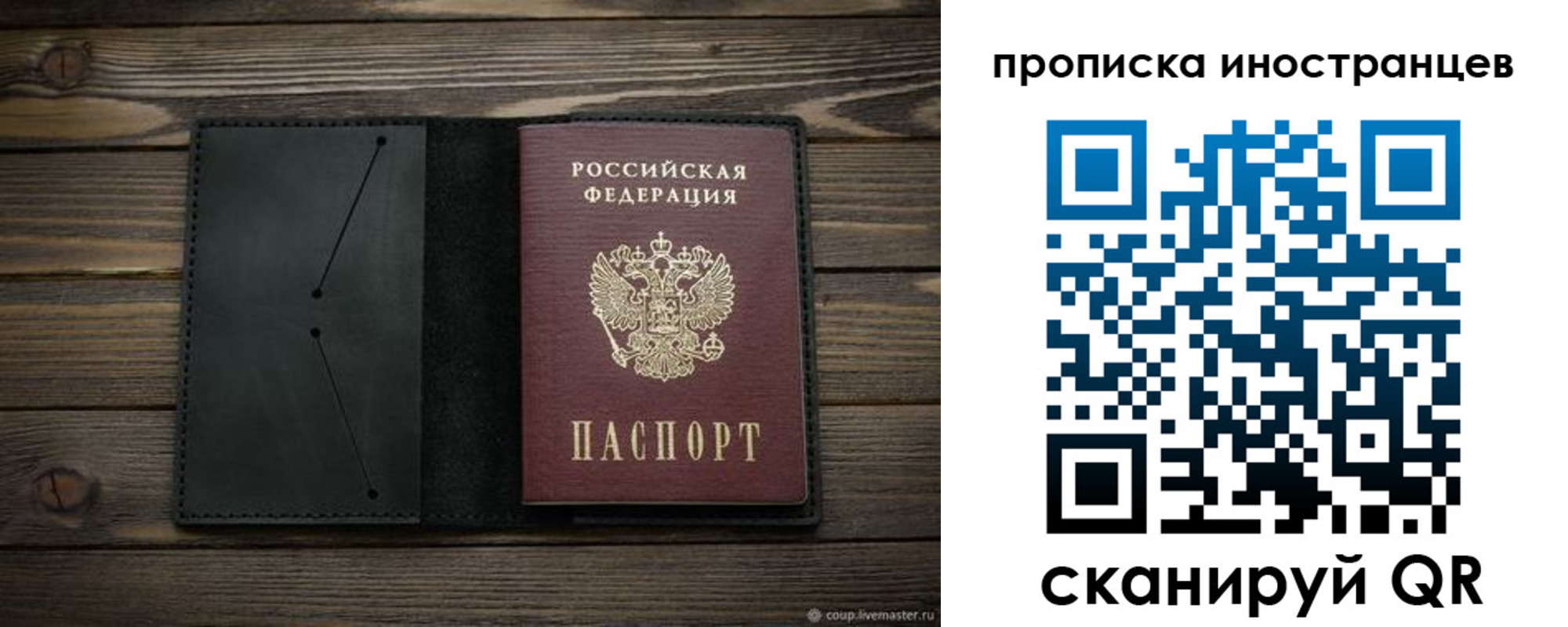 прописка паспорт в Пионерском